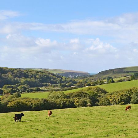 Merlin View St Mawgan المظهر الخارجي الصورة