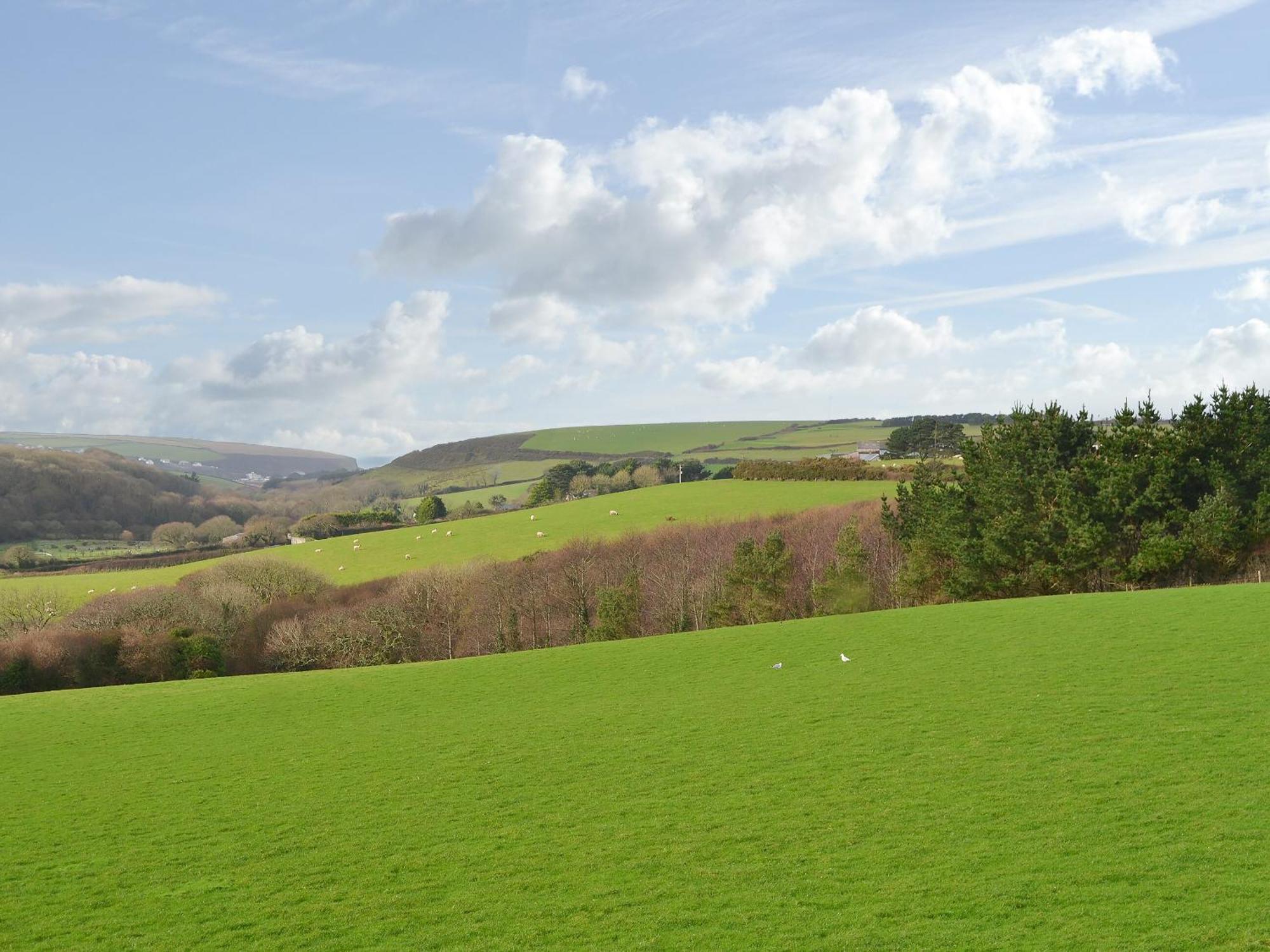 Merlin View St Mawgan المظهر الخارجي الصورة