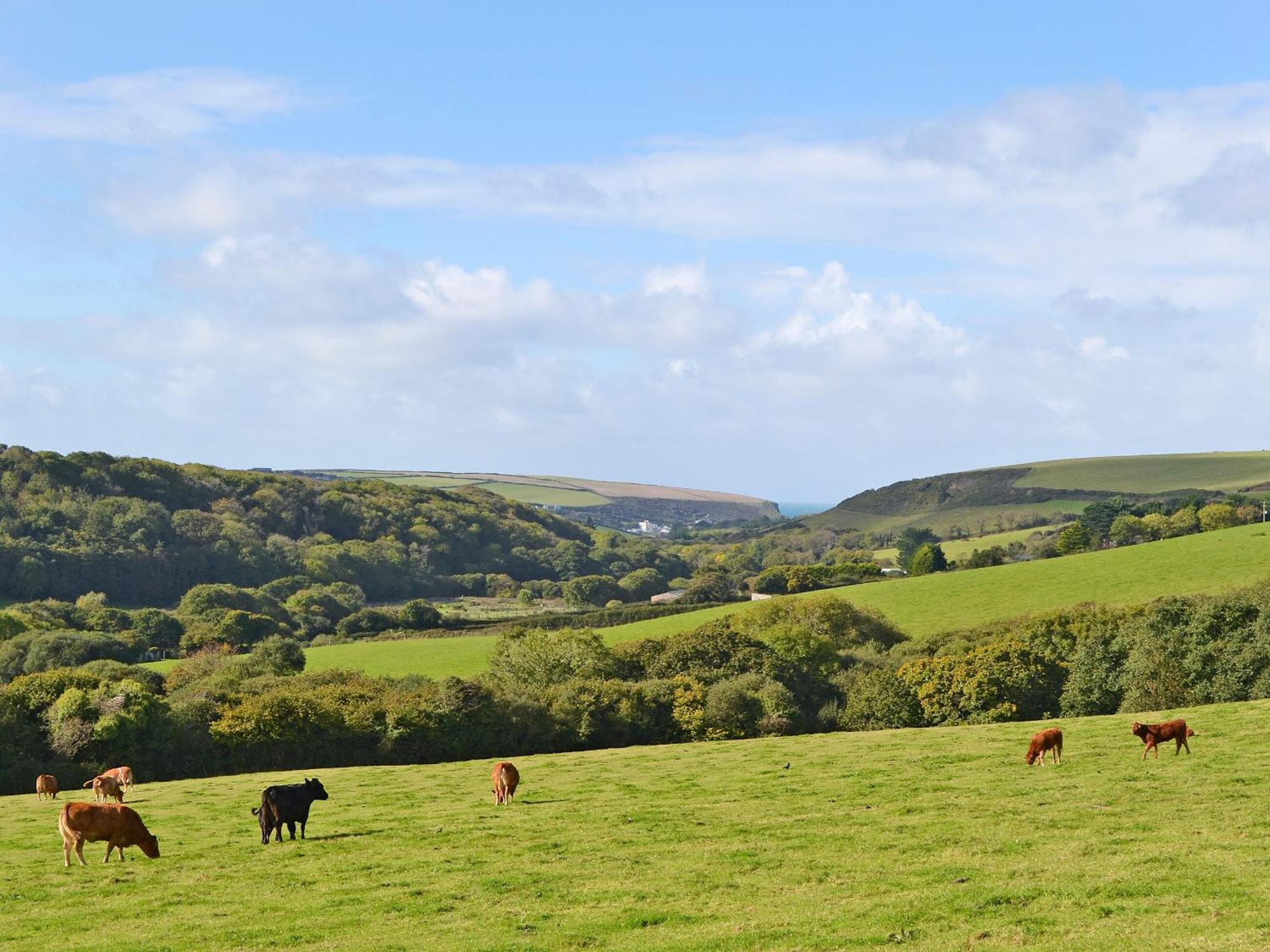 Merlin View St Mawgan المظهر الخارجي الصورة